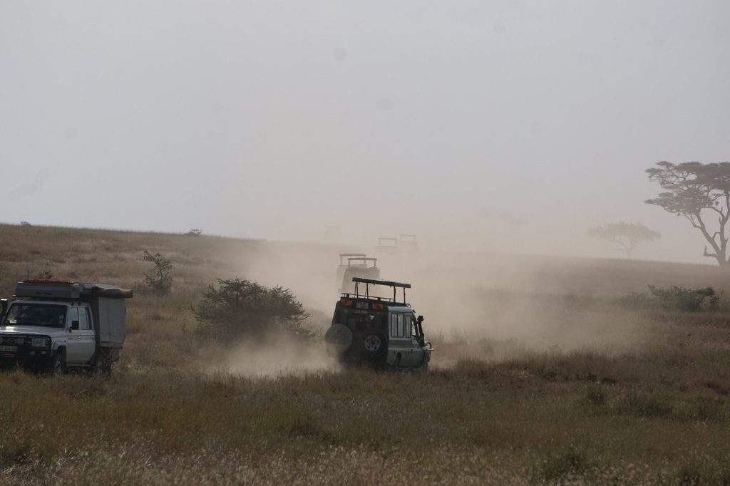 Safari Experiences in Tanzania
